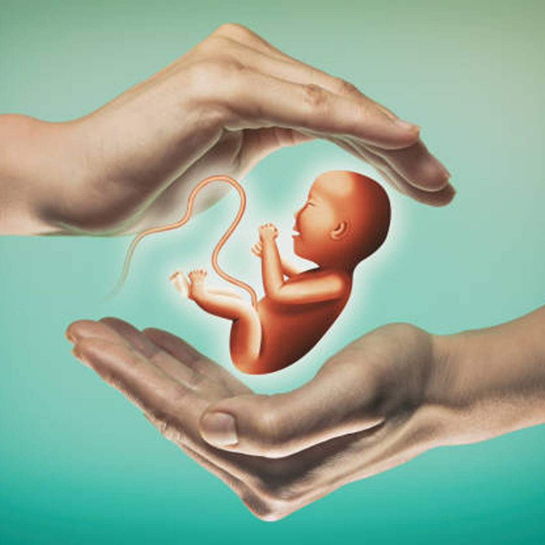 IVF Treatment Centre in India